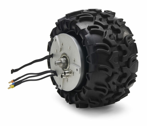 Brushless DC motor